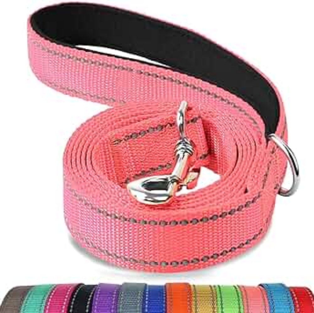 Joytale Double-Sided Reflective Dog Leash, 5 FT Padded Handle Nylon